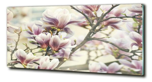 Tablou din Sticlă Magnolie