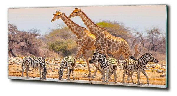 Tablou Printat Pe Sticlă Girafe și zebre