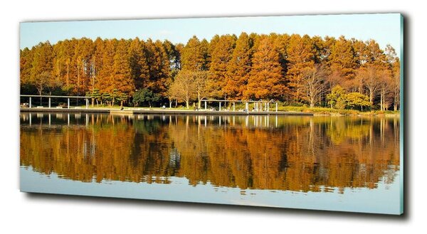 Tablou Printat Pe Sticlă Lake Forest
