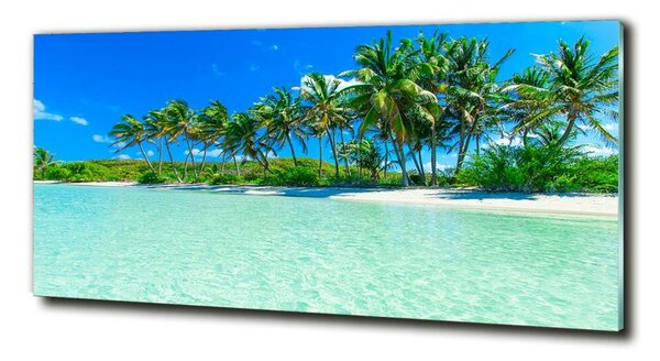 Tablou sticlă plaja tropicala
