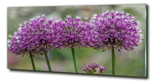 Tablou sticlă floare de usturoi