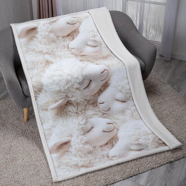 Pătură cu blăniţă 3D VISURI DE MIEL 140 x 200 cm