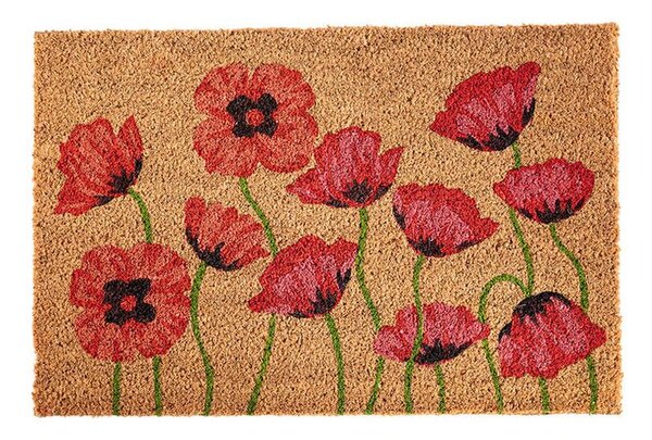 Covoraș de intrare din fibră de cocos MACI 40 x 60 cm
