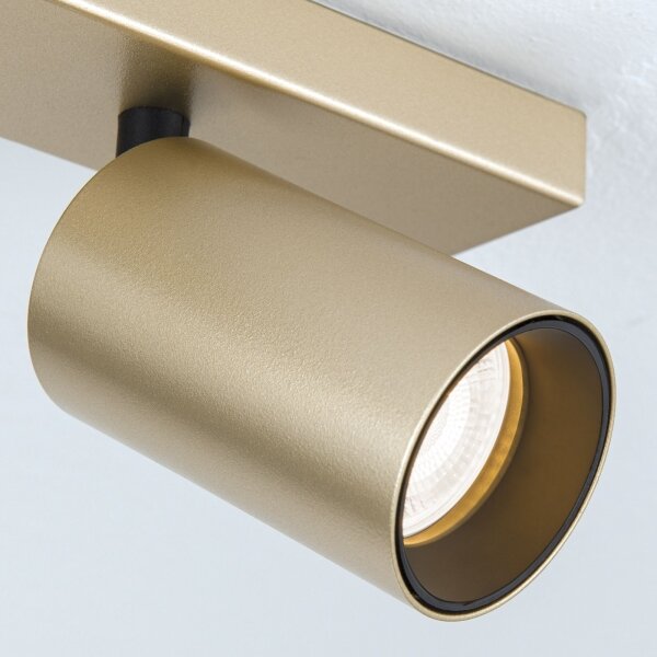 Orion - Corp de iluminat cu spoturi SEAN 4xGU10/13W/230V auriu