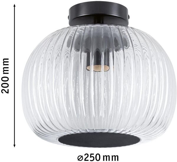 Paulmann Ruya lampă de tavan 1x60 W negru 71146