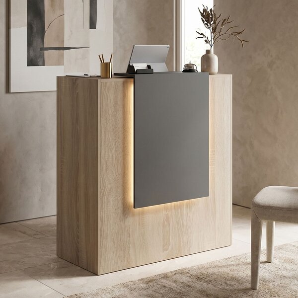Receptie birou, Zowel, Gri inchis, 40x90x110 cm