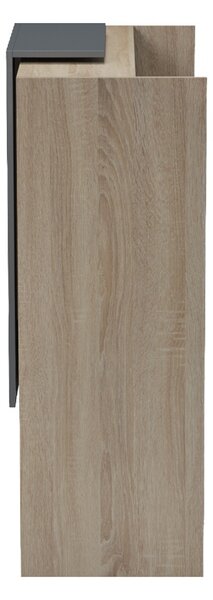 Receptie birou, Zowel, Gri inchis, 40x90x110 cm