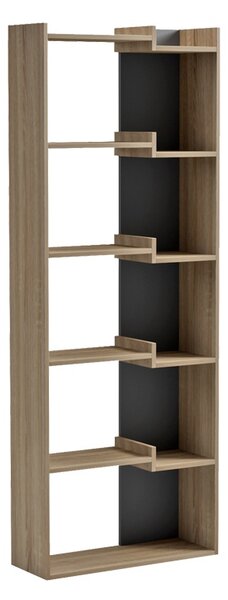 Biblioteca, Corpus, Sonoma, 22x62x162 cm