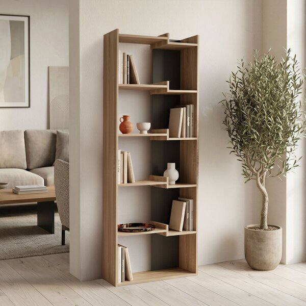 Biblioteca, Corpus, Sonoma, 22x62x162 cm