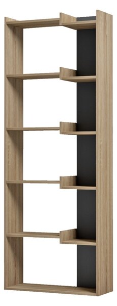 Biblioteca, Corpus, Sonoma, 22x62x162 cm