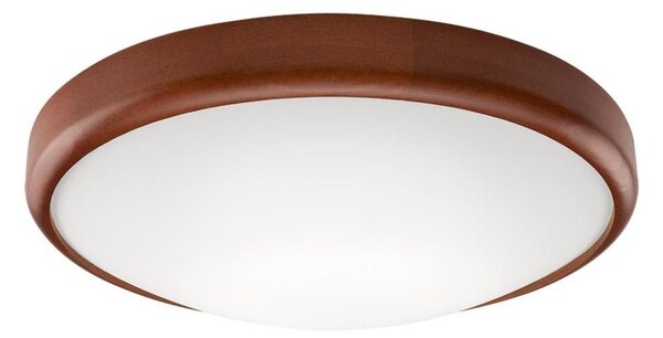 LED Plafonieră 1xLED/24W/230V