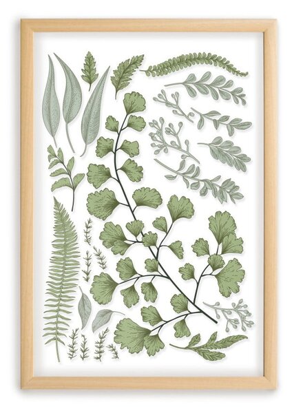 Tablou cu ramă din lemn de pin Surdic Leafes Collection, 50 x 70 cm