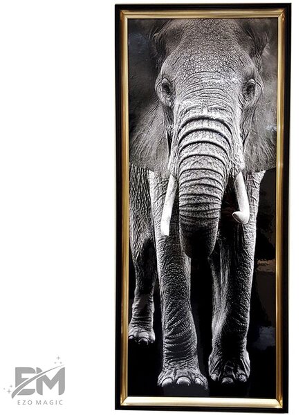 Tablou elefant