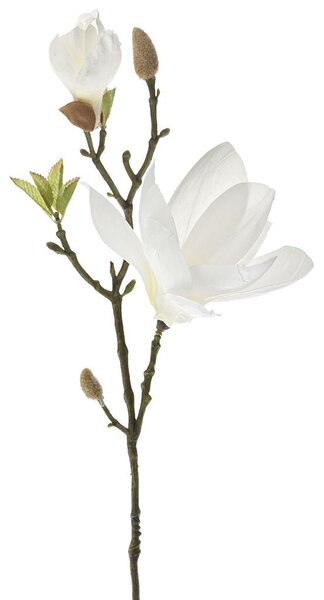 Floare artificiala, Magnolia