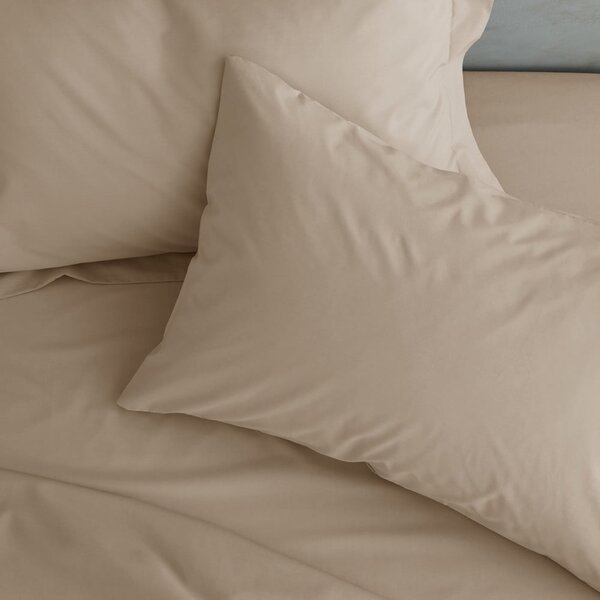 Cearceaf maro deschis din bumbac percale cu elastic 90x190 cm Easy Iron Percale – Catherine Lansfield