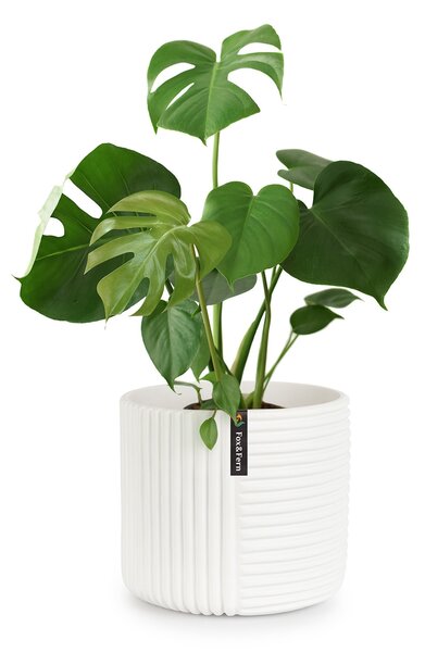 Fox & Fern Ghiveci Hasselt din polistiren, realizat manual, potrivit pentru plante cu aspect 3D