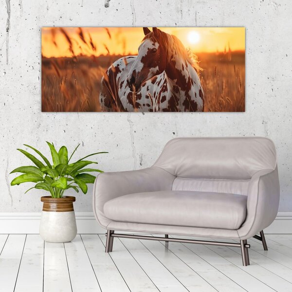 Tablou - Cal la Apus (120x50 cm)