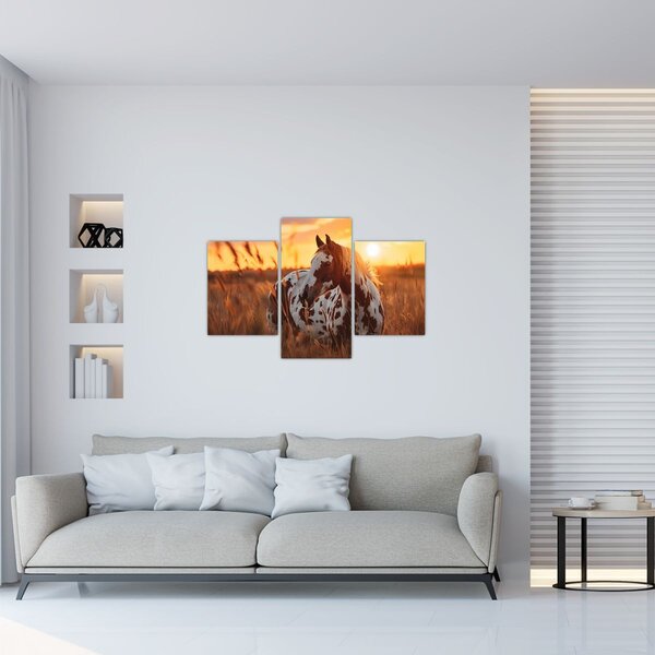 Tablou - Cal la Apus (90x60 cm)