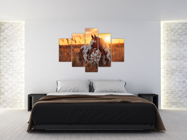 Tablou - Cal la Apus (150x105 cm)