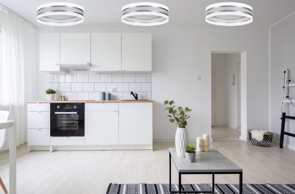 Plafonieră LED dimabilă SMART CORAL LED/24W/230V albă/argintie + telecomandă