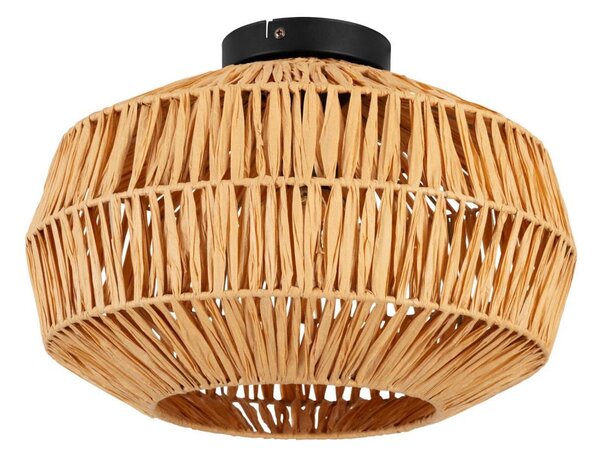 Eglo 44142 - Plafonieră SHELDON 1xE27/40W/230V, maro