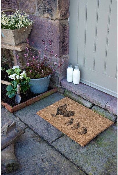 Covoraș de intrare din fibre de nucă de cocos 40x60 cm Chickens and Chicks – Artsy Doormats