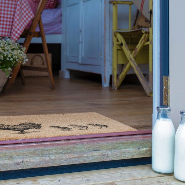 Covoraș de intrare din fibre de nucă de cocos 40x60 cm Chickens and Chicks – Artsy Doormats