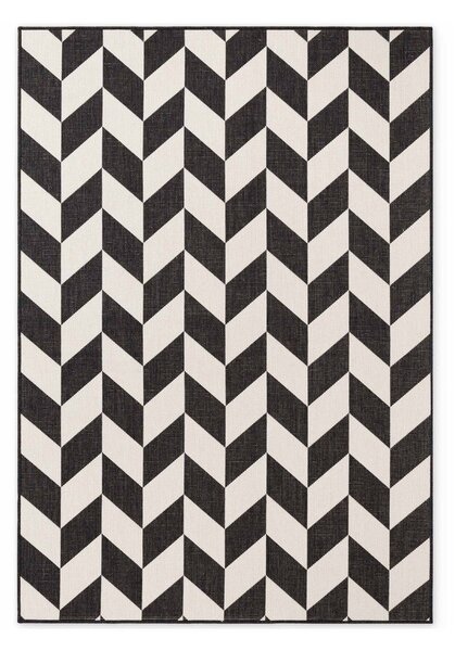 Covor pentru exterior și interior negru/crem 120x170 cm Haringey Terrick – Ted Baker