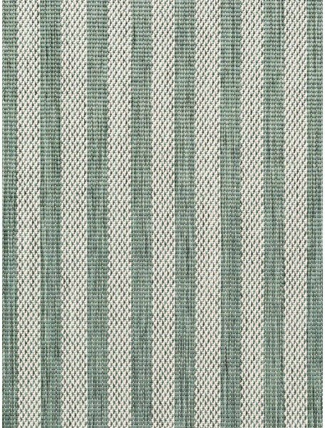 Covor pentru exterior și interior verde/crem 120x170 cm Haringey Linley – Ted Baker