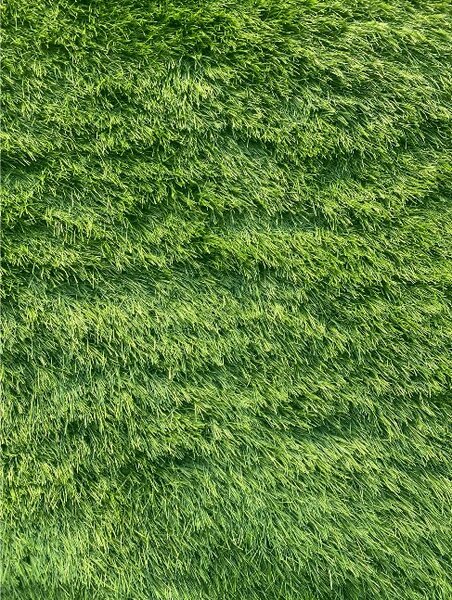 Covor Gazon Iarba Artificiala Sri Lanka 40 mm 200x200 Verde Verde, 200 x 200