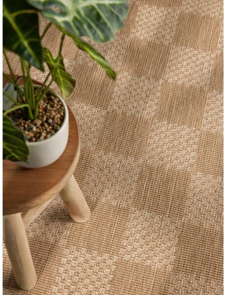 Covor tip traversă pentru interior și exterior crem/în culoare naturală 80x200 cm Haringey Dorothy – Ted Baker