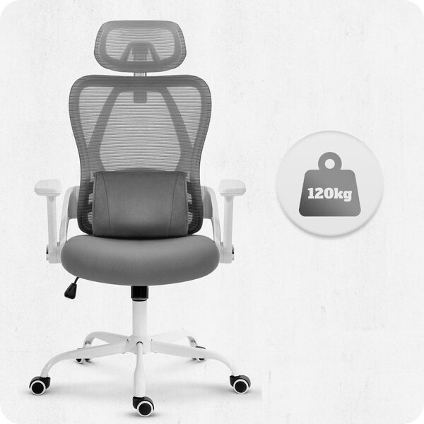 CABRO C507 scaun ergonomic cu suport lombar și pentru cap reglabil, gri