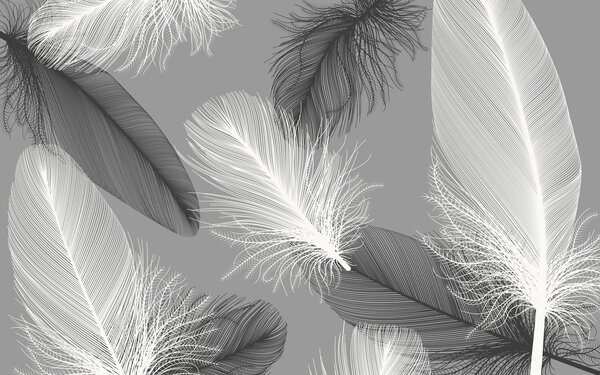 Fototapet Pene delicate în monocromie moale, Fototapet 3D, Fototapet populare, u04919 - Tapeko.ro