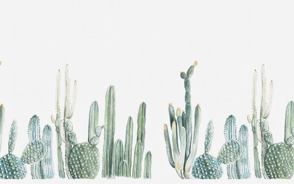 Fototapet Grup de cactuși pe un fundal alb, Fototapet natură, Fototapet populare, u07240 - Tapeko.ro