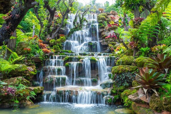 Fototapet Cascadă într-o grădină tropicală, Fototapet designer, Fototapet populare, u17843 - Tapeko.ro