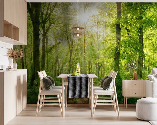 Fototapet Poteca printr-o pădure cu copaci și plante, Fototapet pădure, Fototapet populare, u22252 - Tapeko.ro