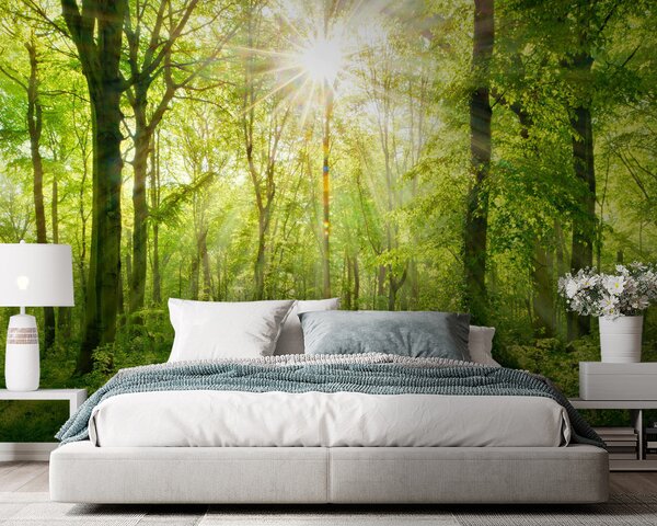 Fototapet Poteca printr-o pădure cu copaci și plante, Fototapet pădure, Fototapet populare, u22252 - Tapeko.ro