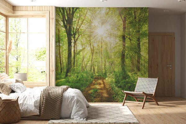 Fototapet Poteca printr-o pădure cu copaci și plante, Fototapet pădure, Fototapet populare, u22252 - Tapeko.ro