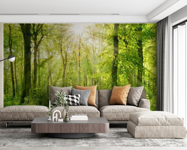 Fototapet Poteca printr-o pădure cu copaci și plante, Fototapet pădure, Fototapet populare, u22252 - Tapeko.ro