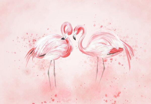 Fototapet Doi flamingo stau unul lângă altul, Fototapet animale, Fototapet populare, u24388 - Tapeko.ro