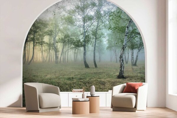 Fototapet Pădure cețoasă cu copaci, Fototapet designer, Fototapet populare, u25820 - Tapeko.ro