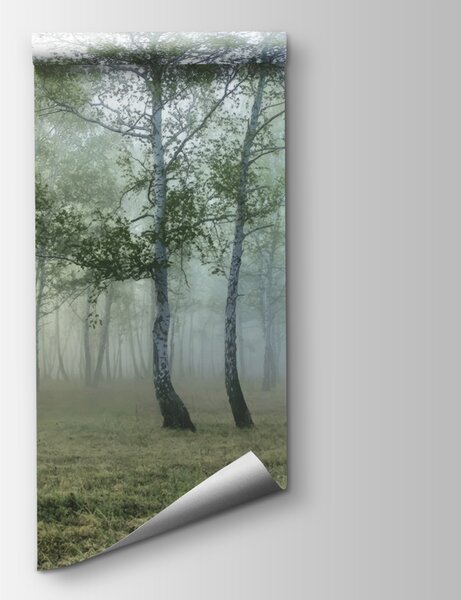 Fototapet Pădure cețoasă cu copaci, Fototapet designer, Fototapet populare, u25820 - Tapeko.ro