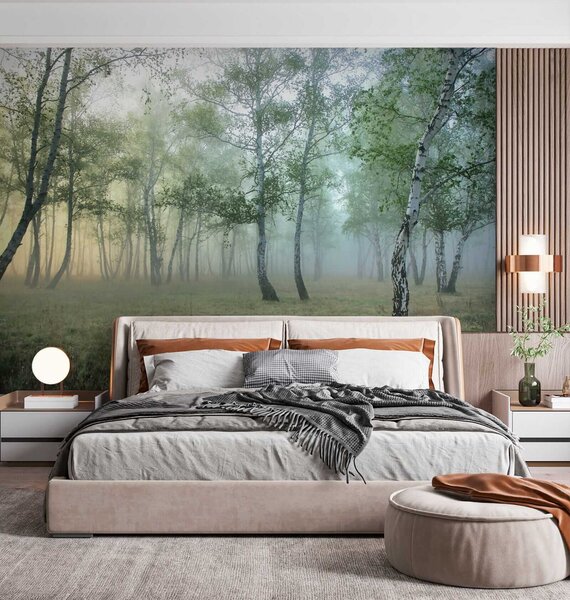 Fototapet Pădure cețoasă cu copaci, Fototapet designer, Fototapet populare, u25820 - Tapeko.ro