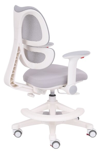 Scaun de birou pentru copii DinoFlex Grey