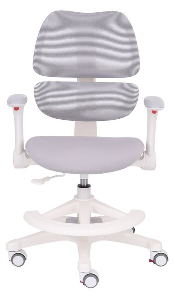 Scaun de birou pentru copii DinoFlex Grey