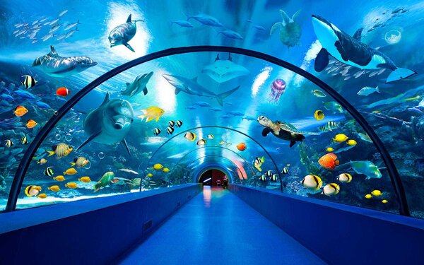 Fototapet Tunel cu pești și animale, Fototapet flori 3D, Fototapet populare, u34490 - Tapeko.ro