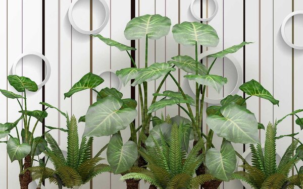 Fototapet Plante cu frunze verzi, Fototapet natură, Fototapet populare, u35303 - Tapeko.ro