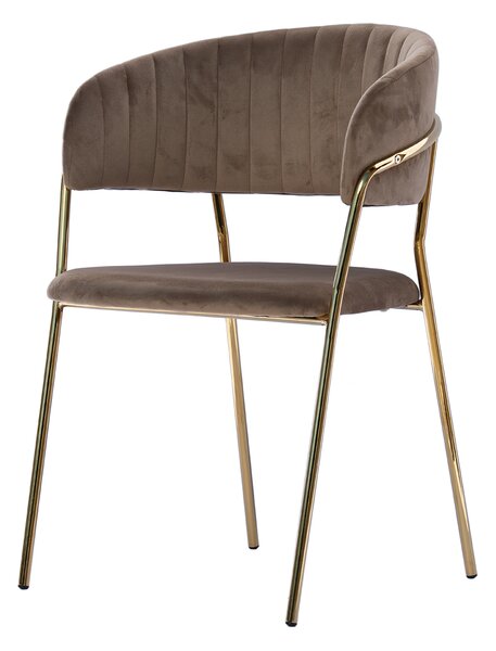 Scaun din velur Glamour VELVET cu picioare aurii - cappuccino