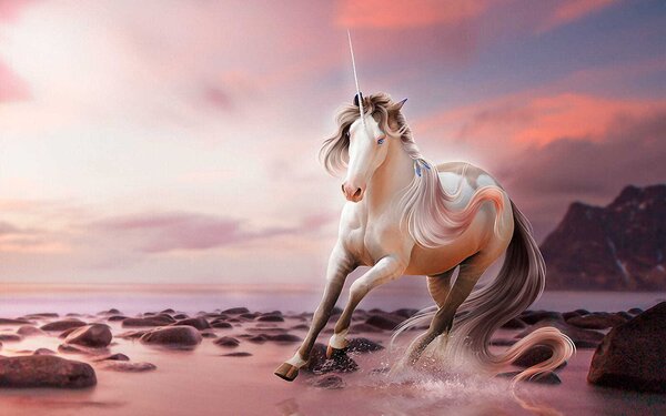 Fototapet Unicorn care rulează pe apă, Fototapet copii, Fototapet populare, u38651 - Tapeko.ro