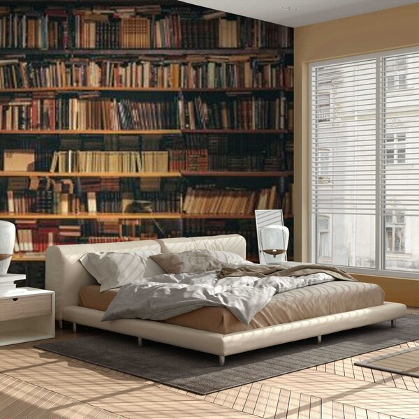 Fototapet Bibliotecă mare plină de cărți, Fototapet spațiu extins, Fototapet populare, u40004 - Tapeko.ro